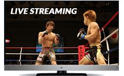 Jak federacje sportowe walczą z nielegalnym streamingiem. UFC vs. piraci