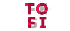 Międzynarodowy Festiwal Filmowy TOFIFEST
